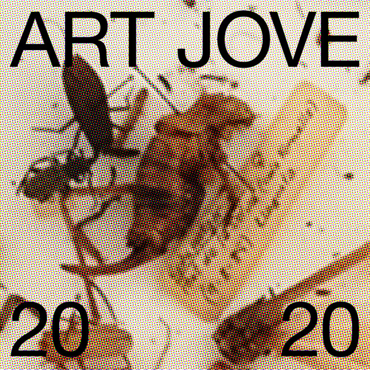 Art Jove 2020