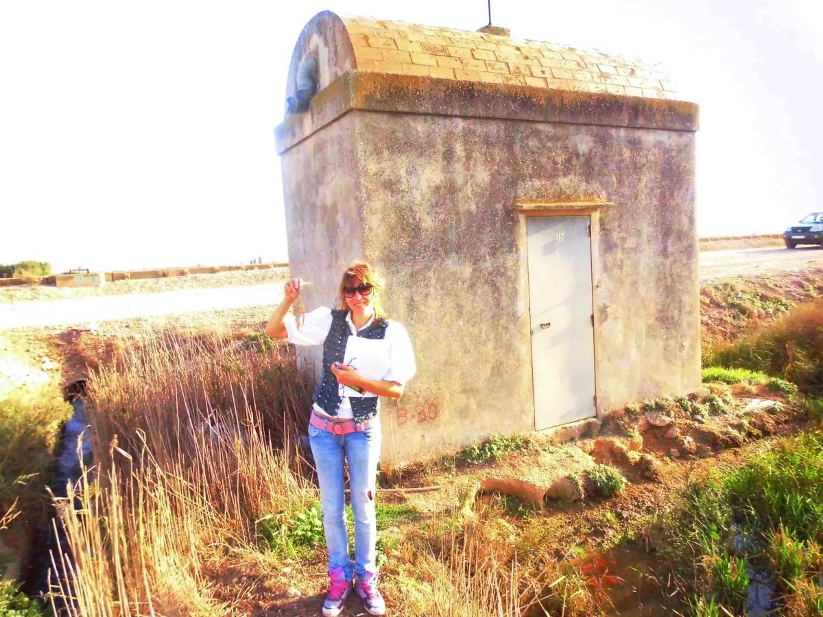 Laura Marte en residència