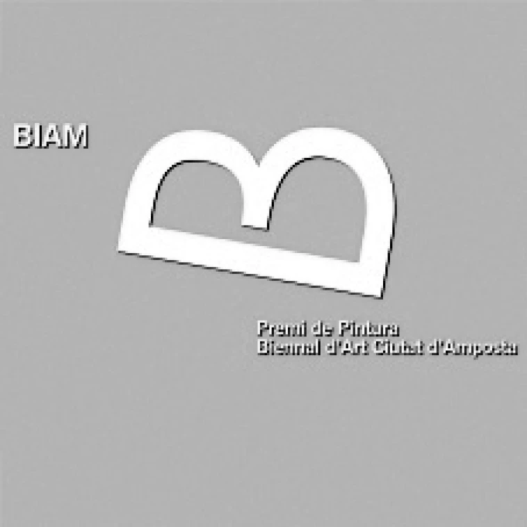 BIAM 2004. “Premi Biennal d’Art Ciutat d’Amposta 2004”